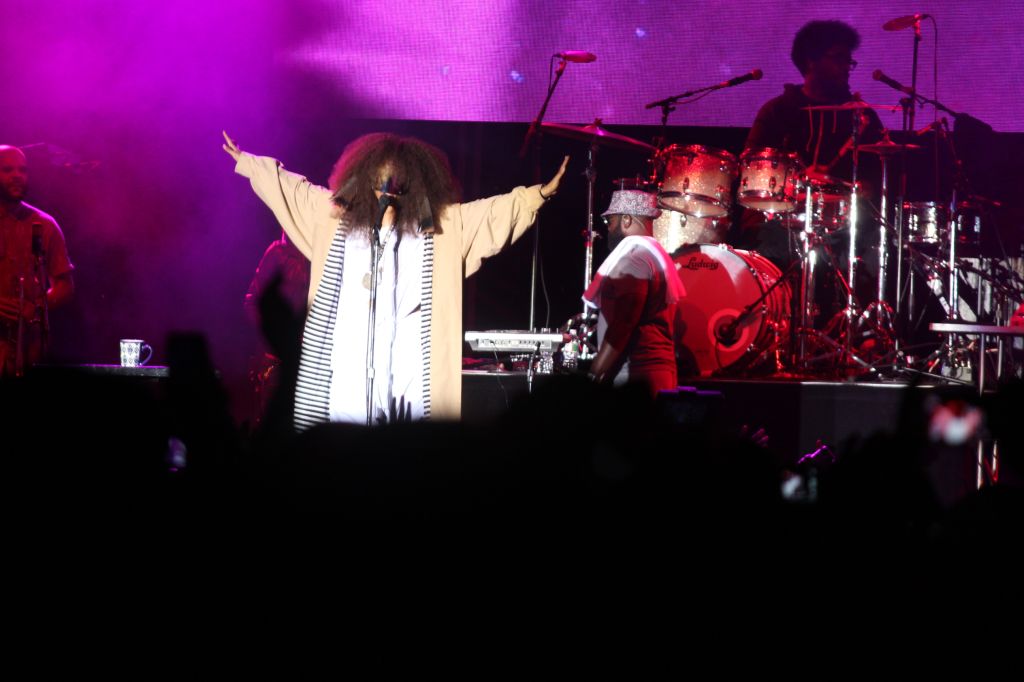 Roots Picnic 2015