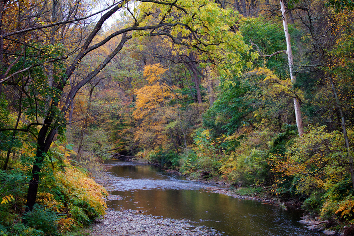 Autumn in Wissahickon Valley, Philadelphia