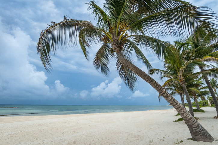 Palm trees and stormy dawn on the beach at Grand Velas Resort and Spa, Riviera Maya, Mexico.