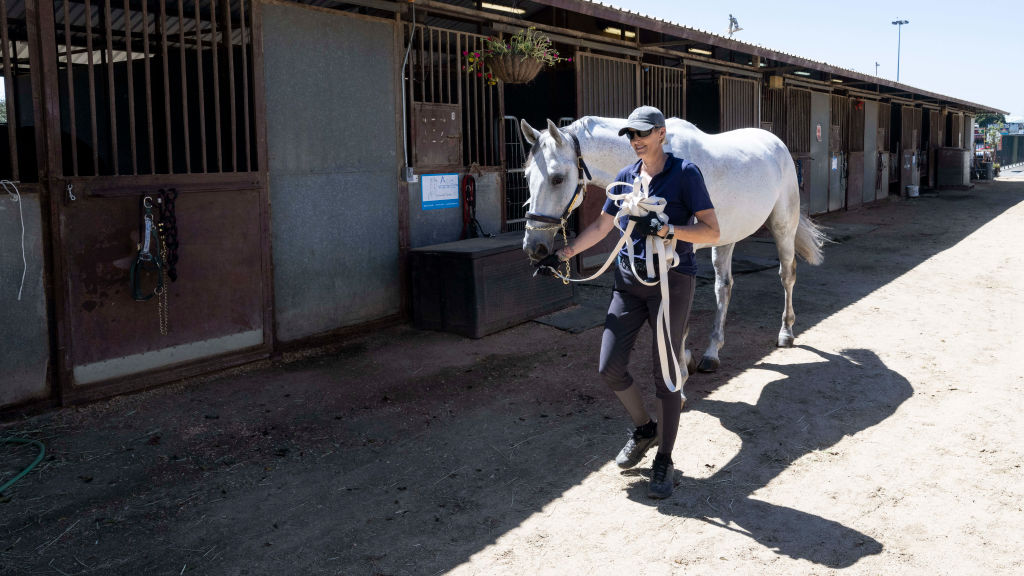 Horses evacuated during Airport Fire burns in Southern Calfiornia