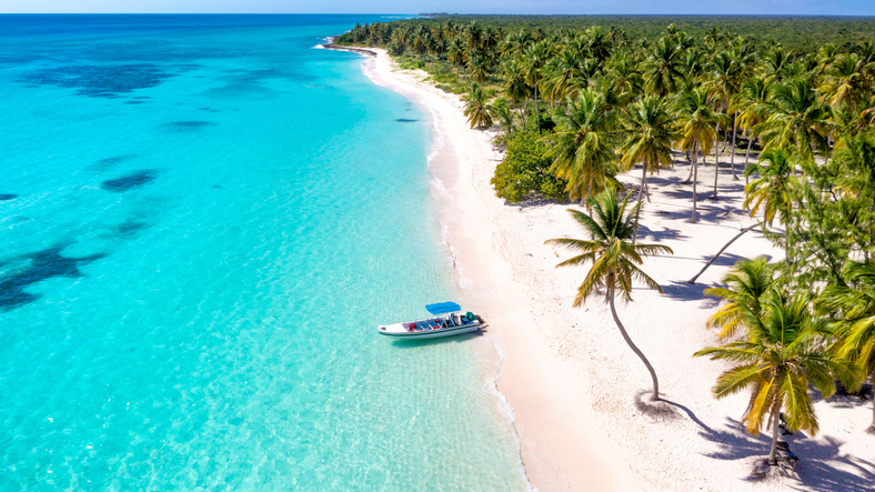 Aerial Serenity: Saona Island's Palm-Fringed Shores