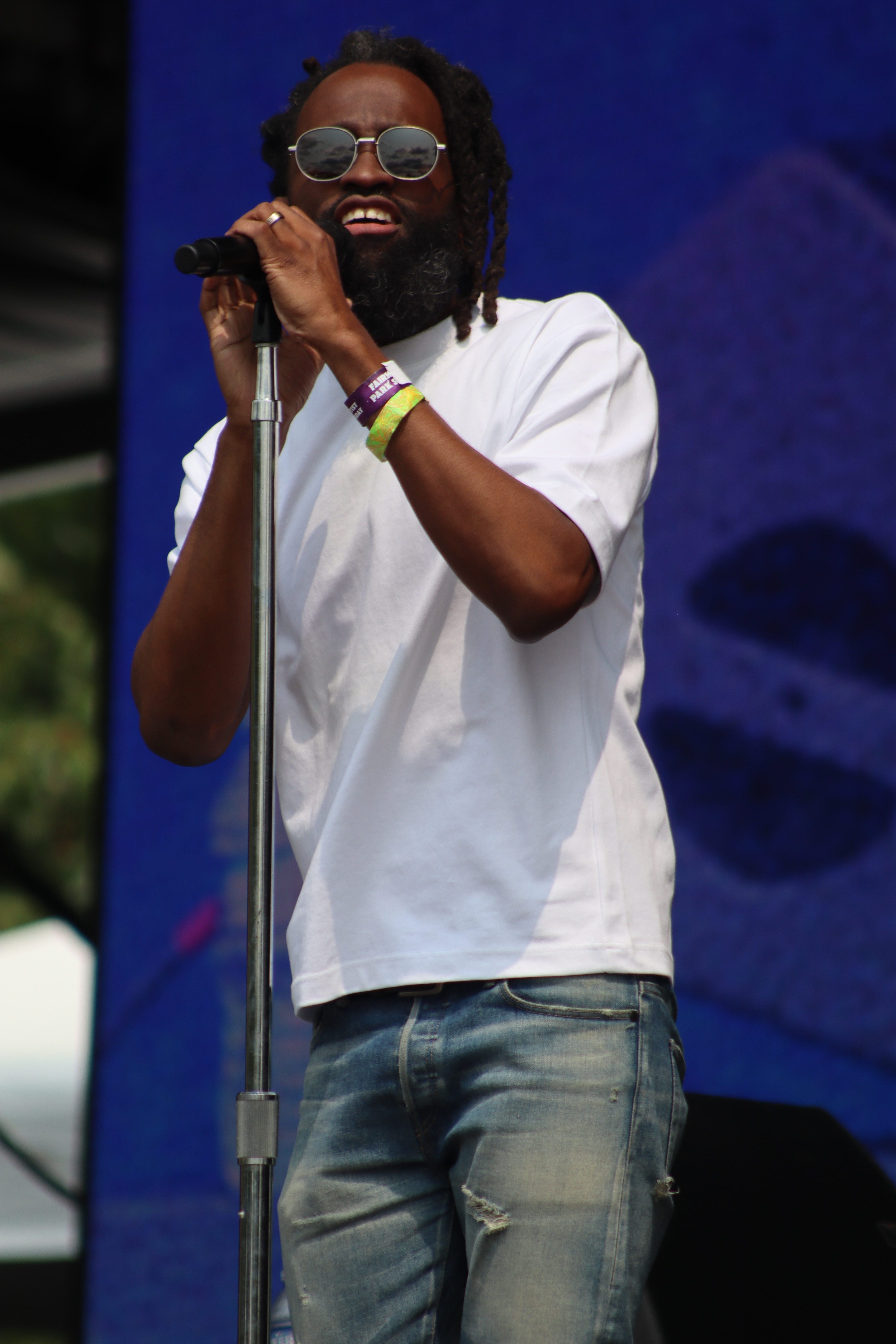 Roots Picnic 2025 Day 2