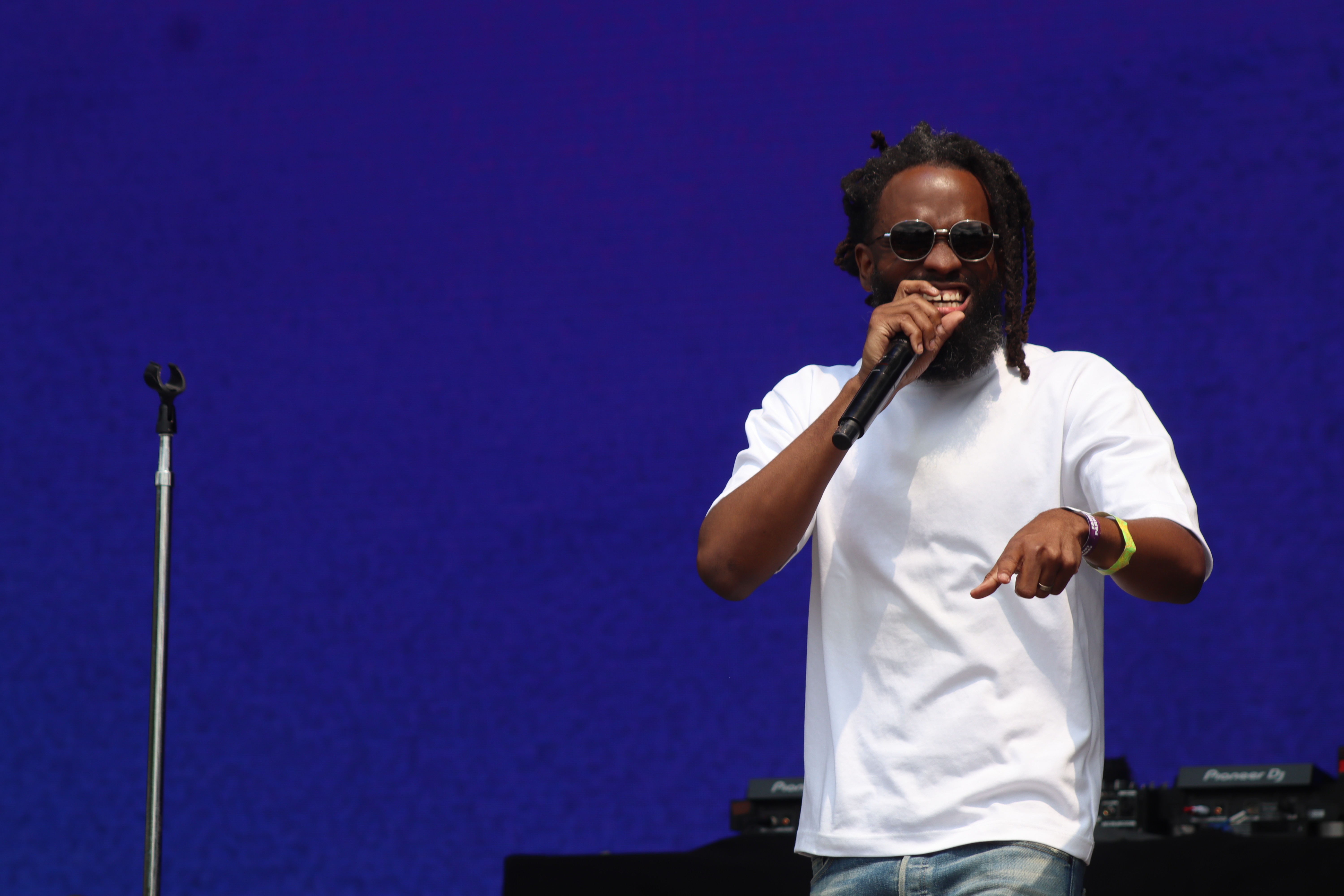 Roots Picnic 2025 Day 2